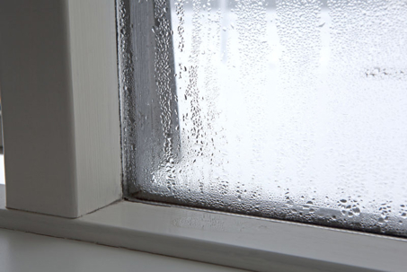 A window, indicating high humidity