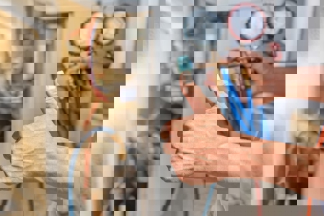 HVAC technician with gauges