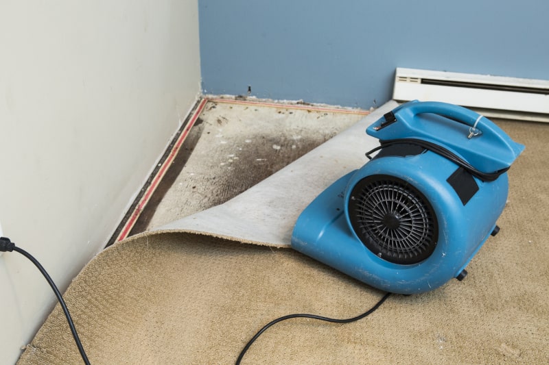 What to Know When Planning a Home Improvement Project in Dalton, GA
